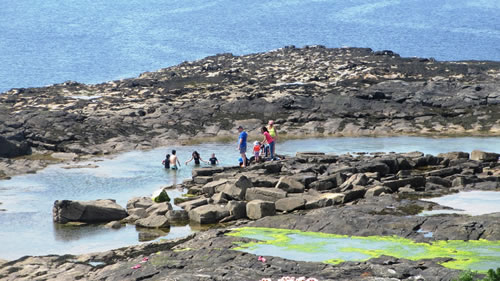 Rockpools on Inishmurray