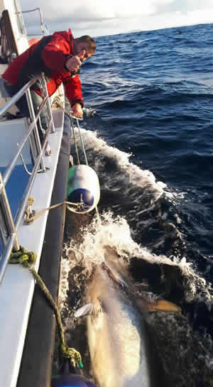 Tuna fishing charters